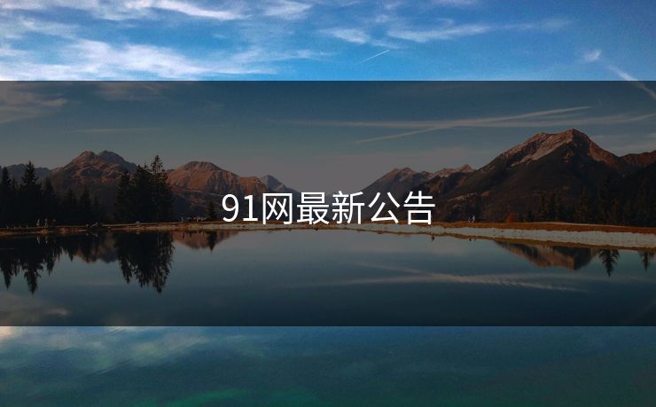 91网最新公告